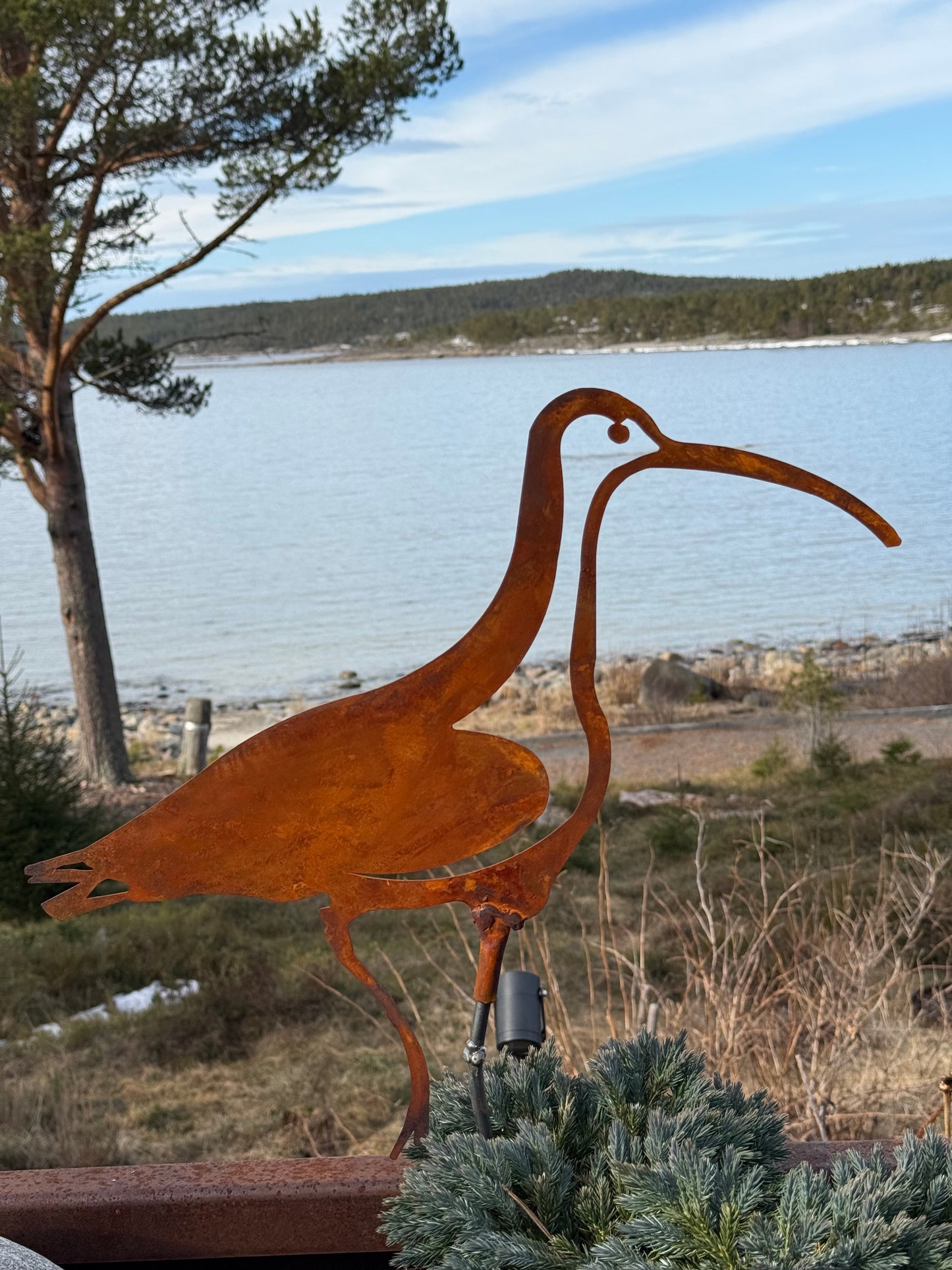 Paket 2 st Storspoven Sture