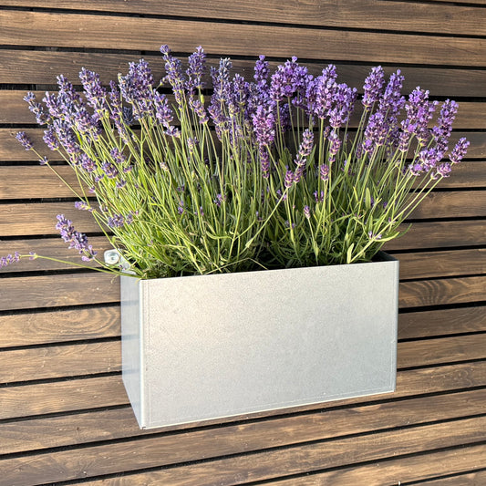 Odlingslåda för vägg- zink