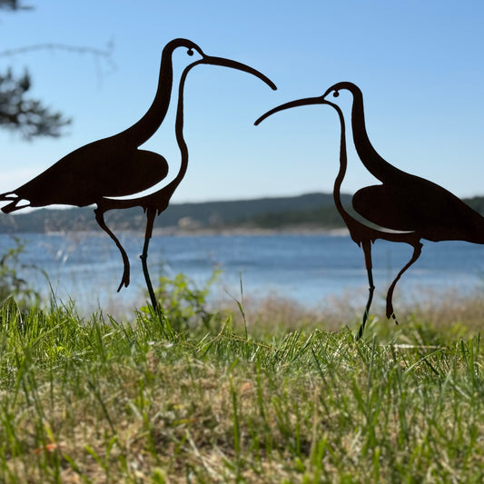 Paket 2 st Storspoven Sture