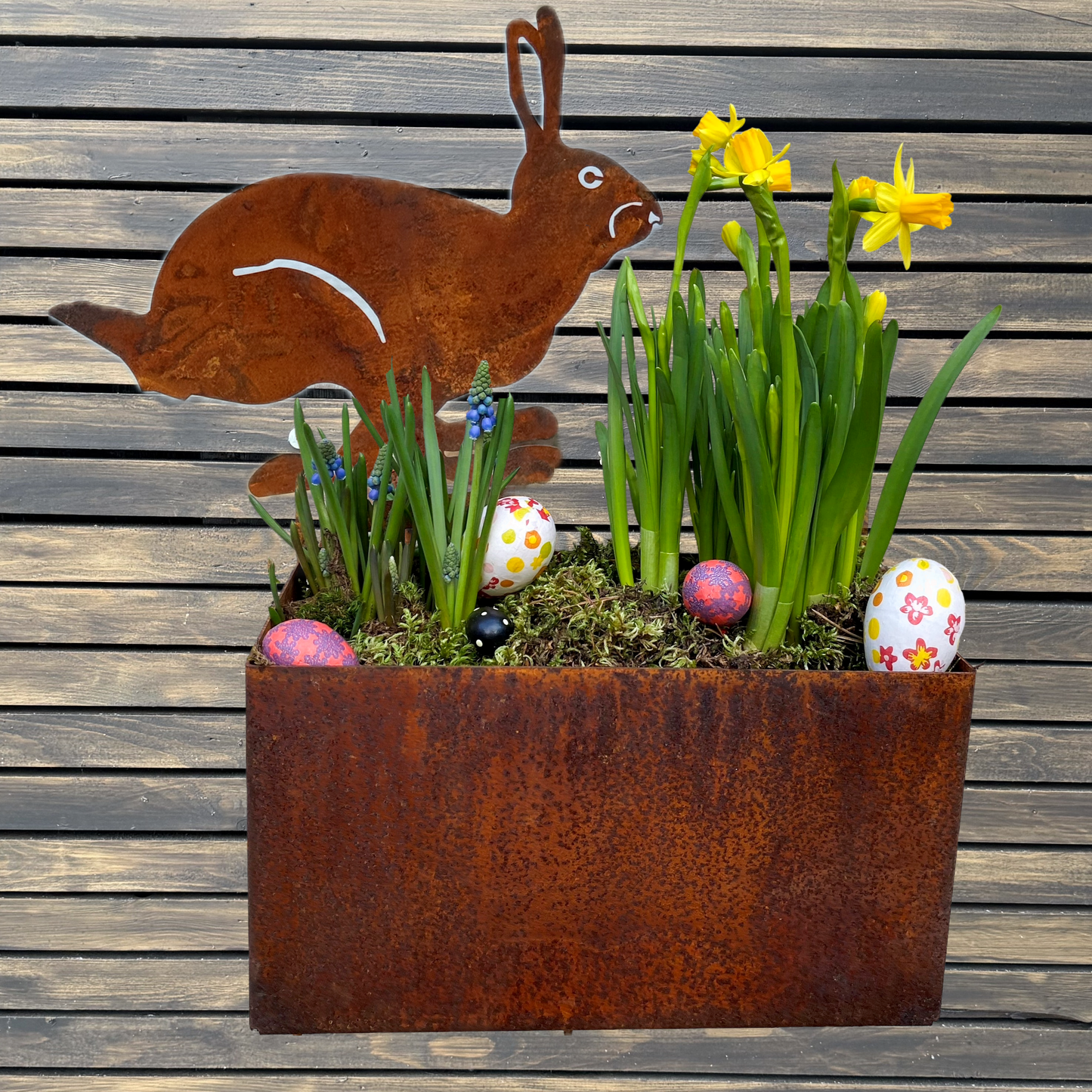 Påskpaket med odlingslåda rost + Haren Hugo