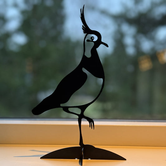 Tofsvipan Tina på fot.