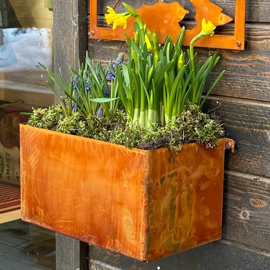 Odlingslåda för vägg- rost