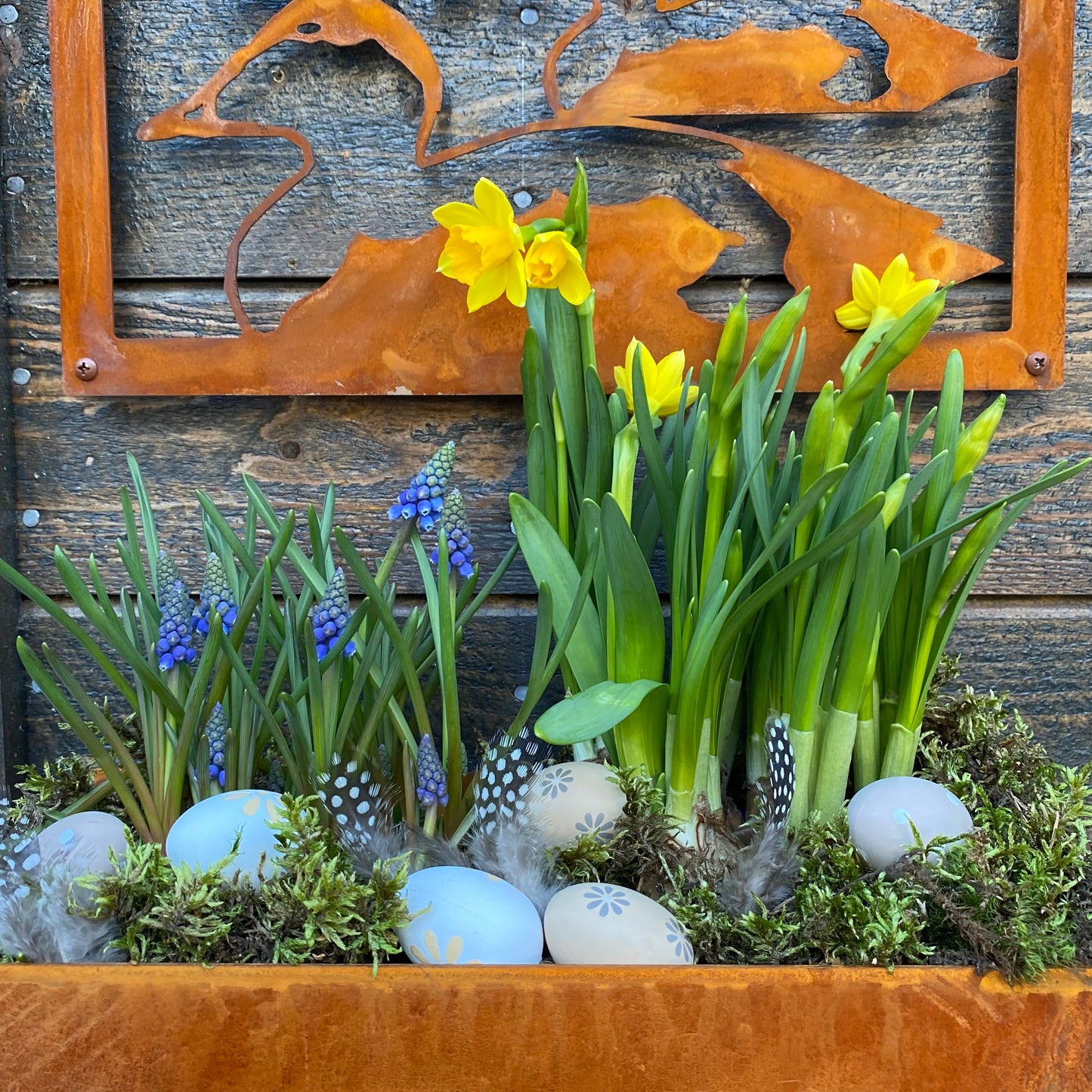 Odlingslåda för vägg- rost