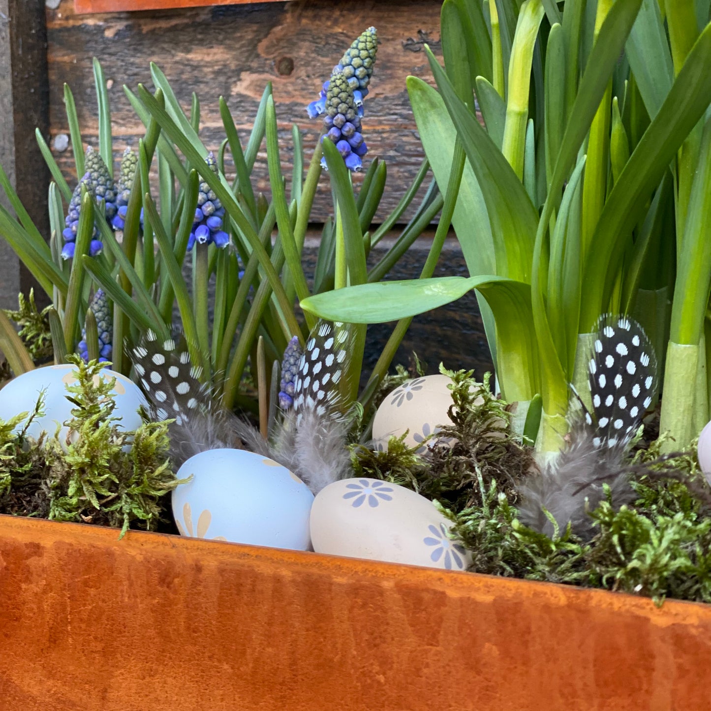 Odlingslåda för vägg- rost