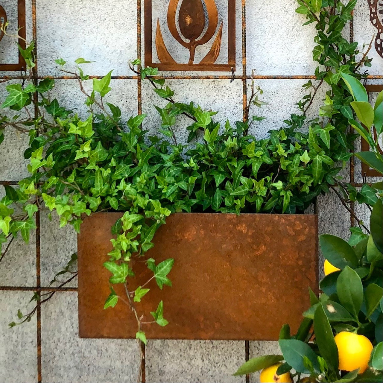 Odlingslåda till armeringsnät - rost .