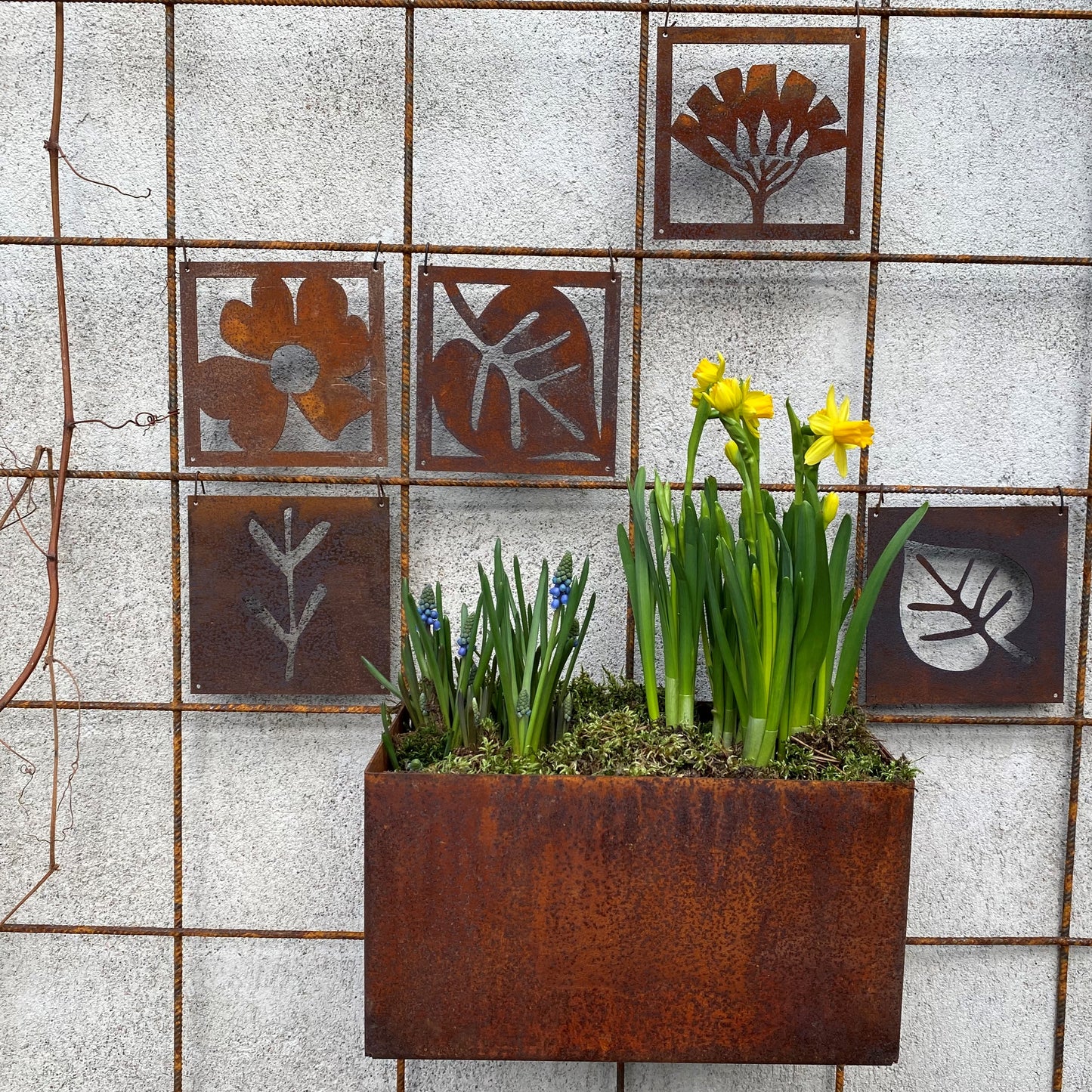 Odlingslåda till armeringsnät - rost .