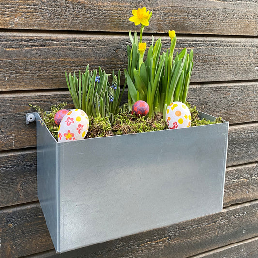 Odlingslåda för vägg- zink
